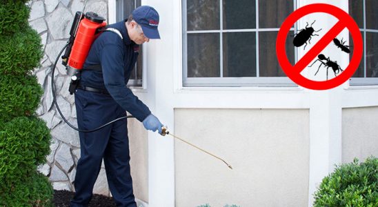 Alacakaya Kemirgen İlaçlama böcek ilaçlama ve haşere kontrolü — ilaclama-tr.com